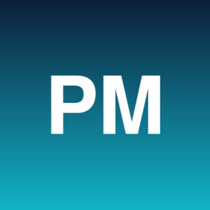 Project Manager
